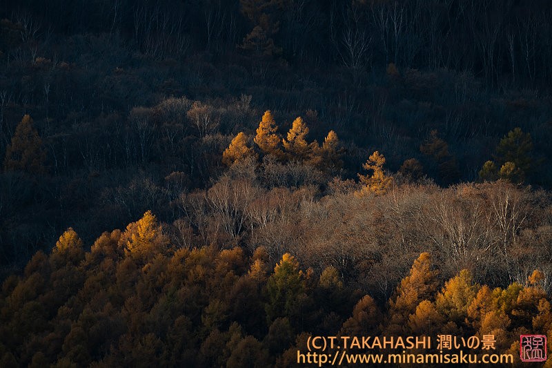 ../Images/7R251108 (72).jpg